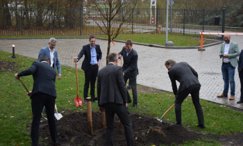boom planten kleiner.jpg