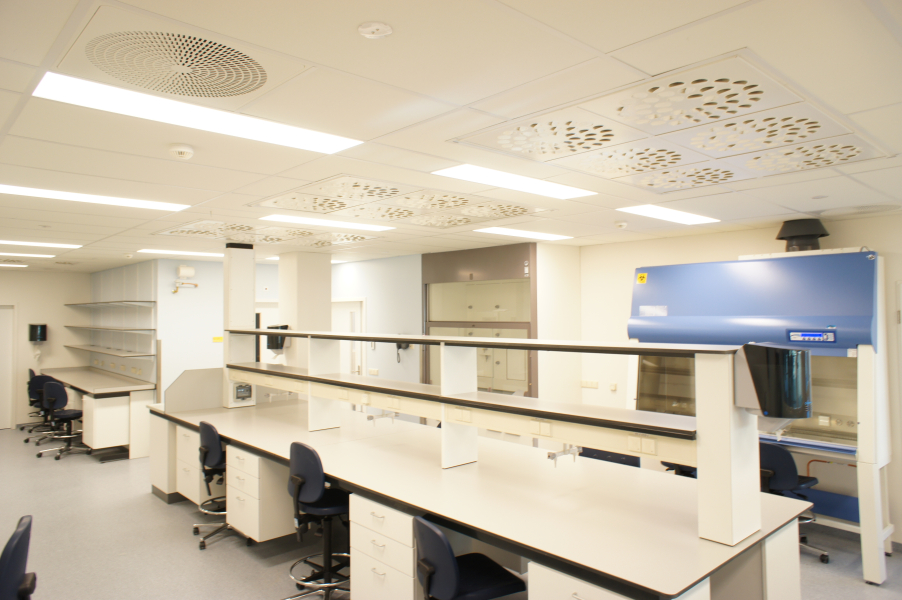 lab K3 AMC.JPG